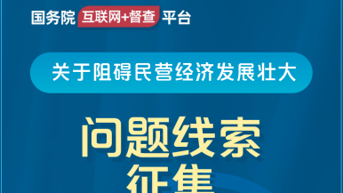 操我骚逼free国务院“互联网+督查”平台公开征集阻碍民营经济发展壮大问题线索